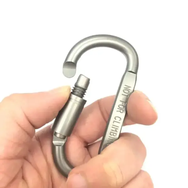 4Pcs Carabiner Set – Aluminum Alloy Keychain Clip for Camping, Survival, EDC & Outdoor Use - Image 5