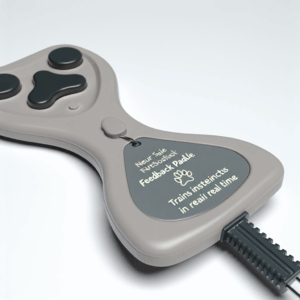 NeuroSlice Feedback Paddle device shown against a neutral background